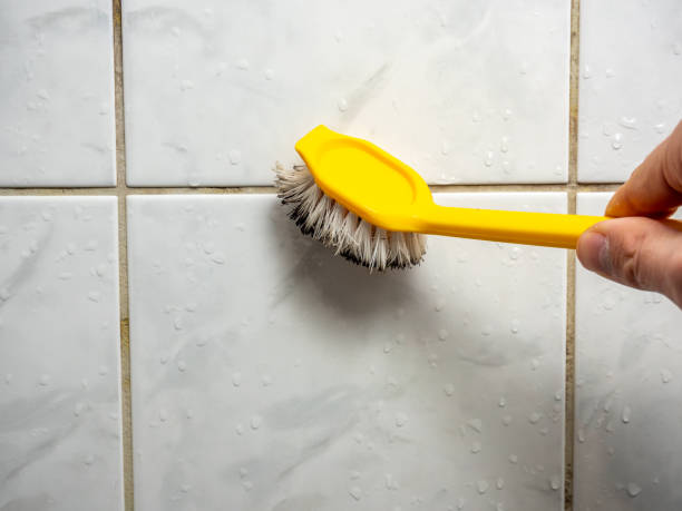 Best Mold Remediation  in Ontario, CA