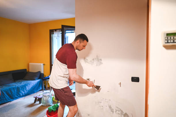 Best Mold Testing  in Ontario, CA